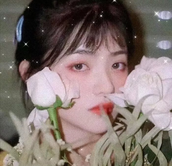 寻找苏珊