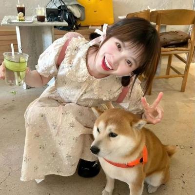 太阳花